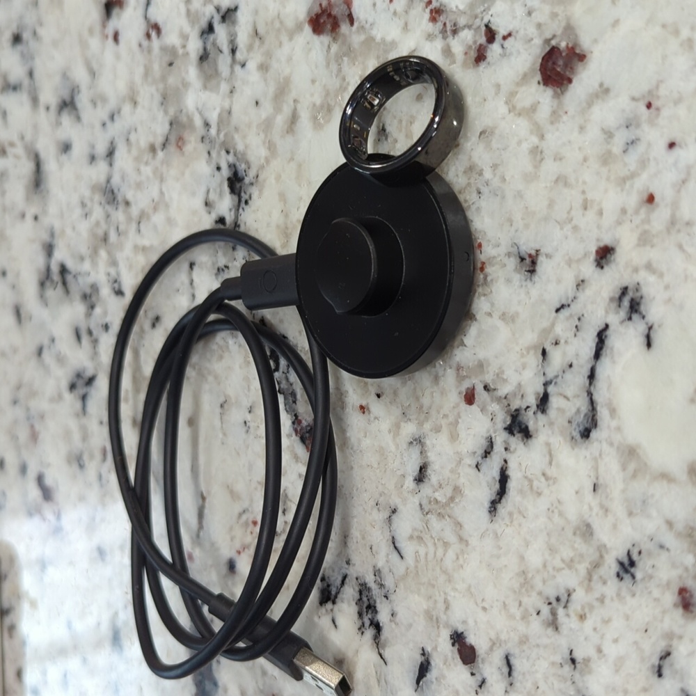 Oura Gen 3 Size 11 Horizon Black